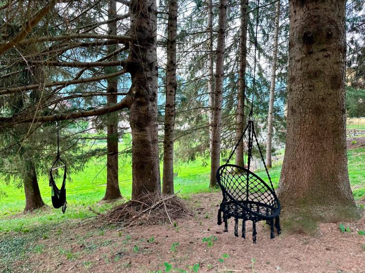 il bosco